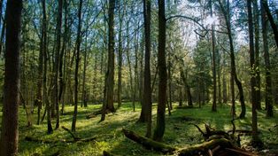 Tajemnicze i niezwykłe miejsca w woj. podlaskim i okolicach. Znakomite na wycieczkę w weekend