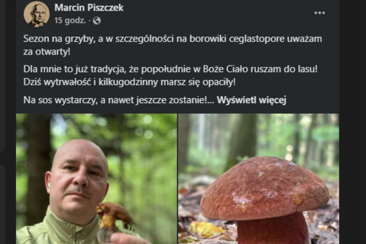 Post o borowikach Marcina Piszczka, burmistrza Jędrzejowa