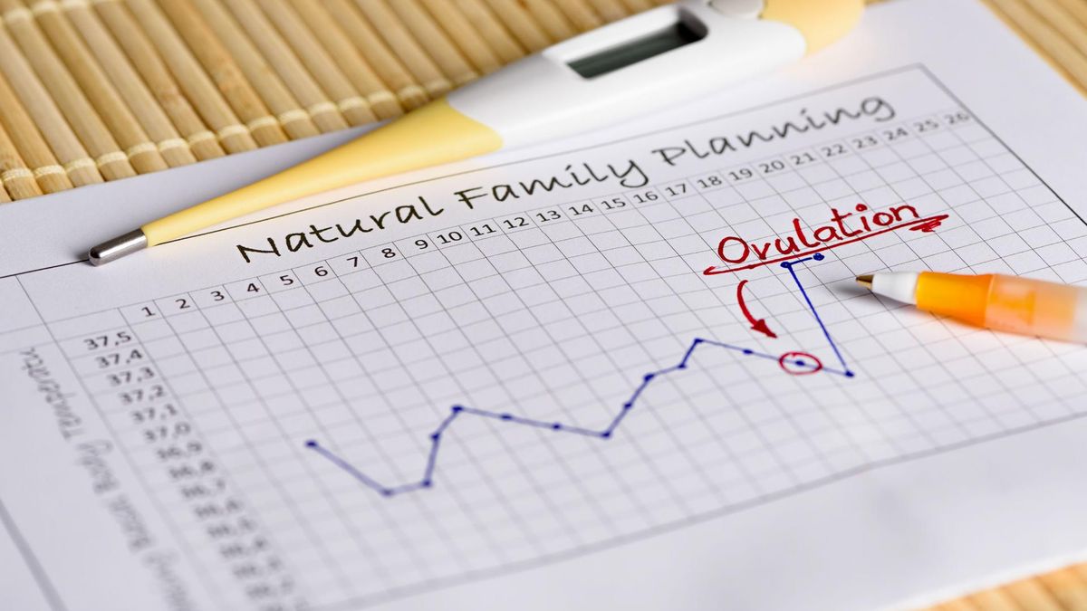 Owulacja to czas najwyższej płodności, można ją rozpoznać za pomocą pomiarów temperatury ciała.