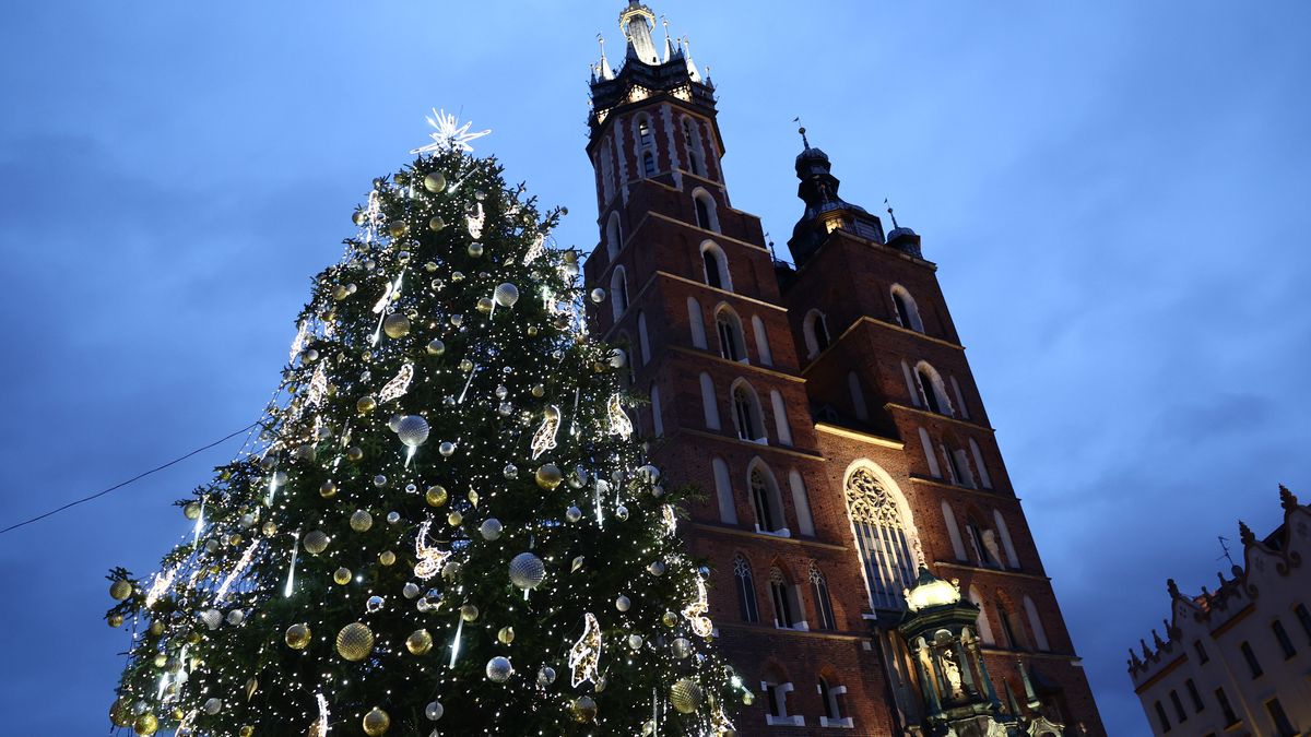 Krakowska choinka uznana za najładniejszą na świecie