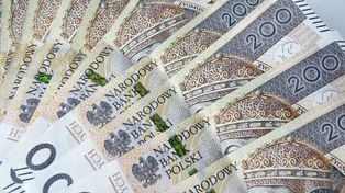 Płacą 16 tys. Praca za granicą. Bez szkoły. Zatrudniają osoby 50+.