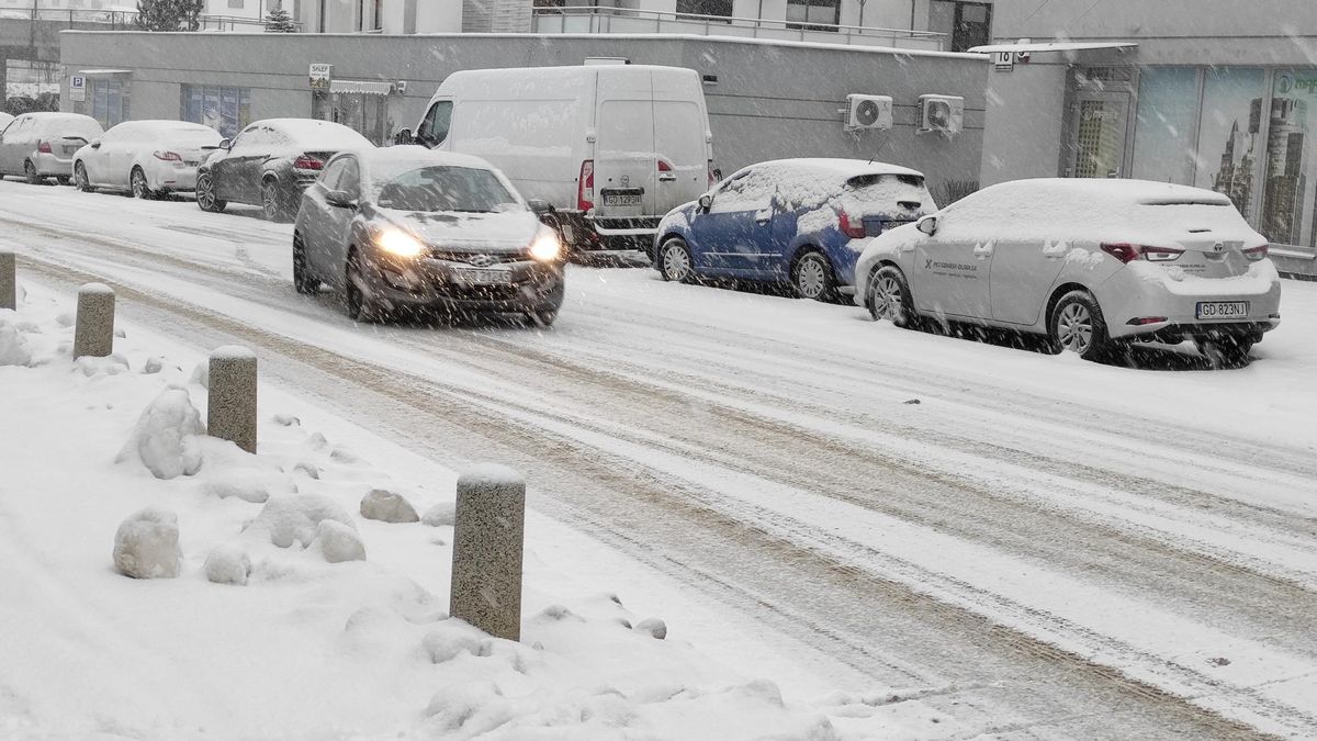 Ceny soli dotarły do niespodziewanych poziomów