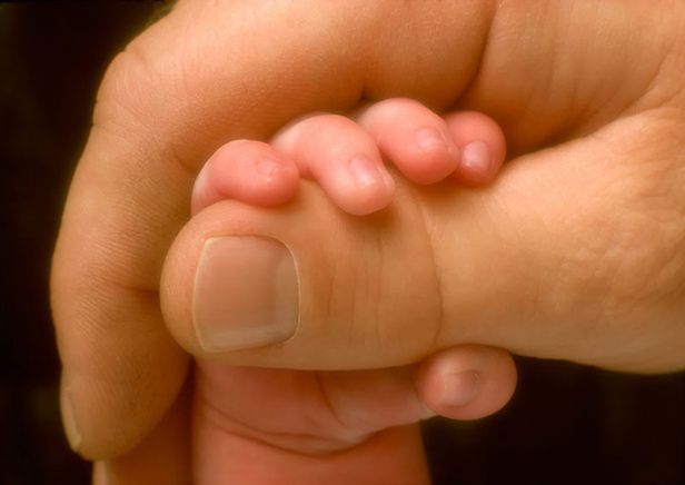 10 niezwykłych części naszego ciała, które uwielbiał Darwin 10
