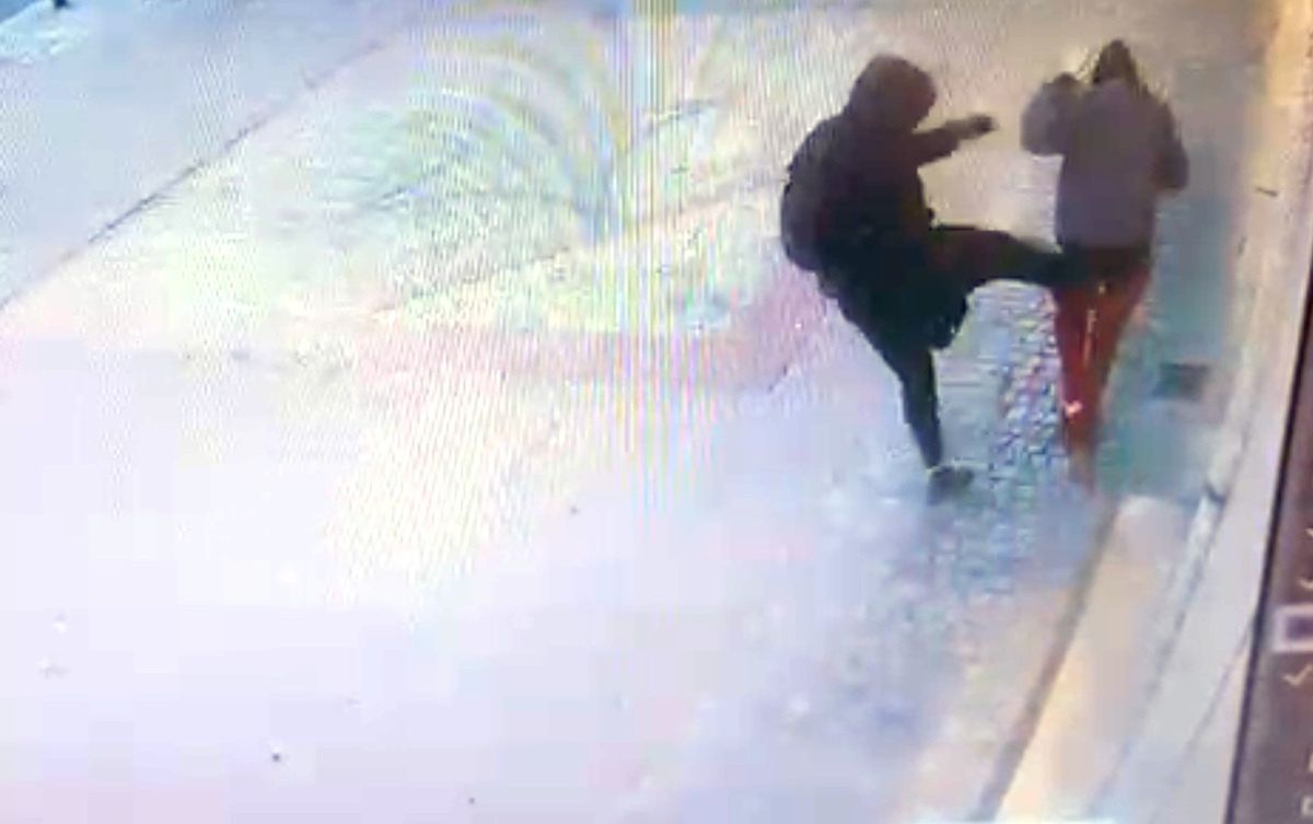 Spacerowała z psem. Brutalny atak w centrum Warszawy