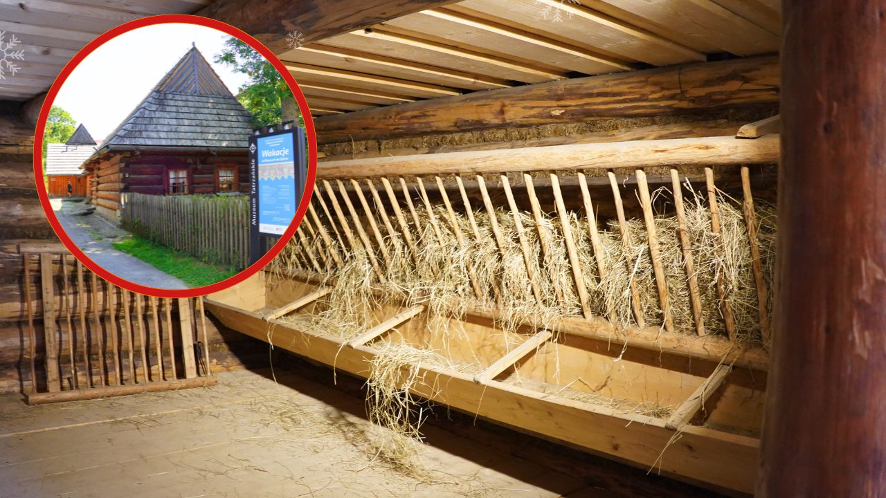 Zagroda Sołtysów w Jurgowie – żywa lekcja historii Spisza