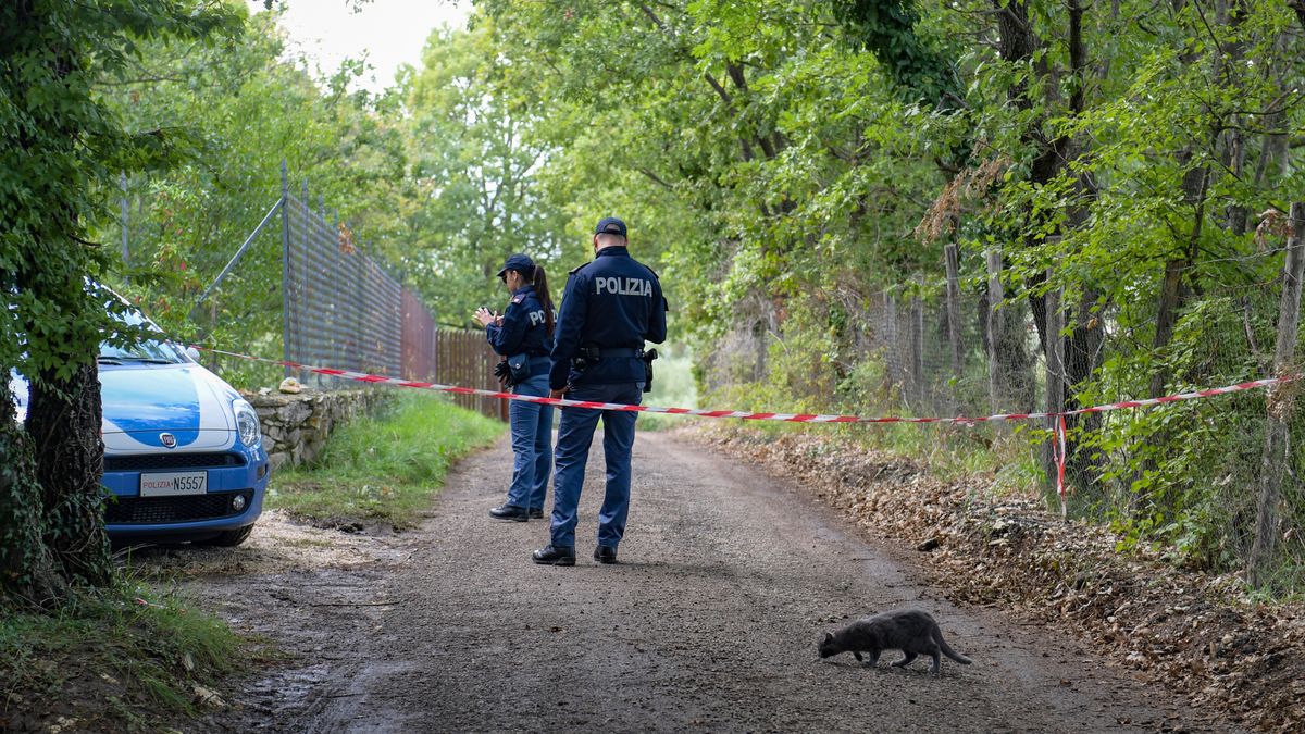 W lasach znaleziono ciało
