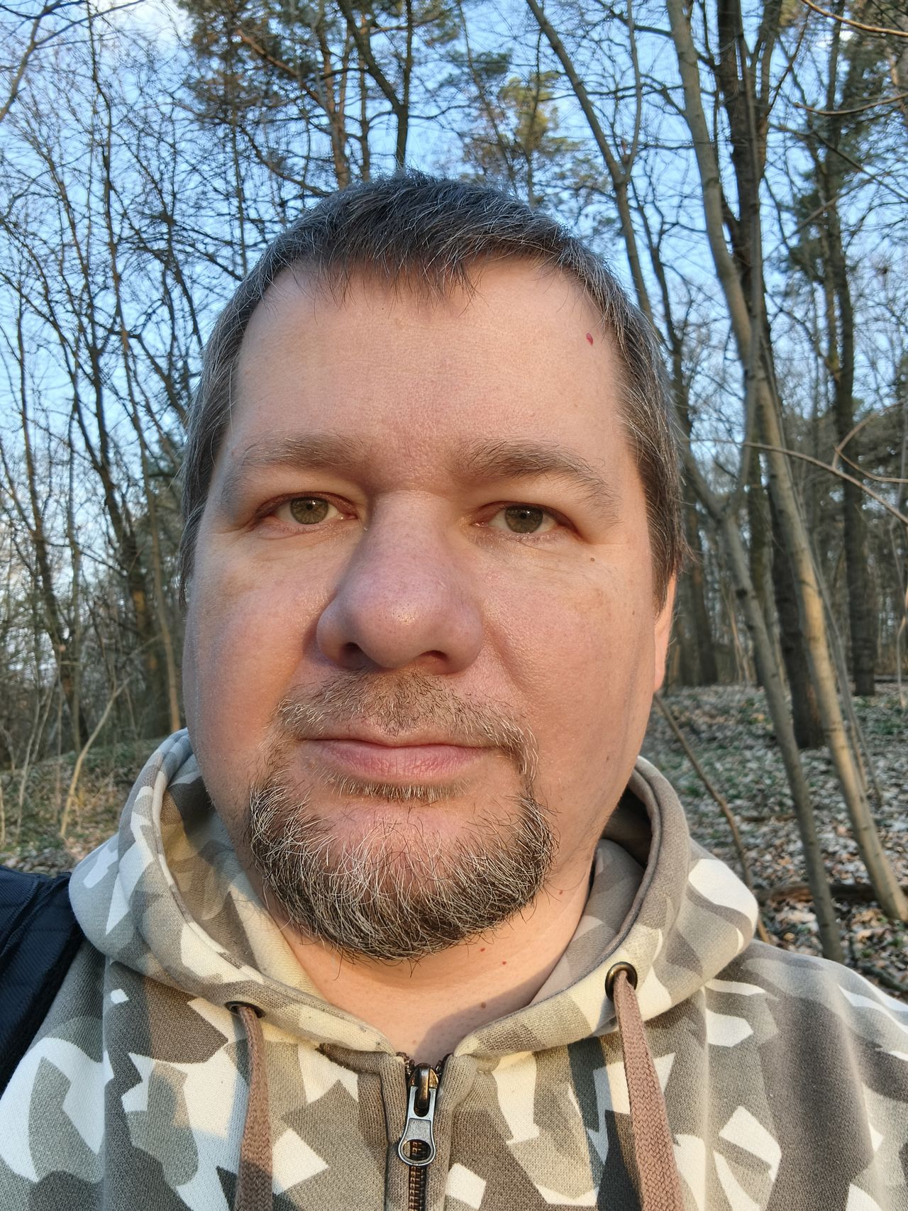 Obraz