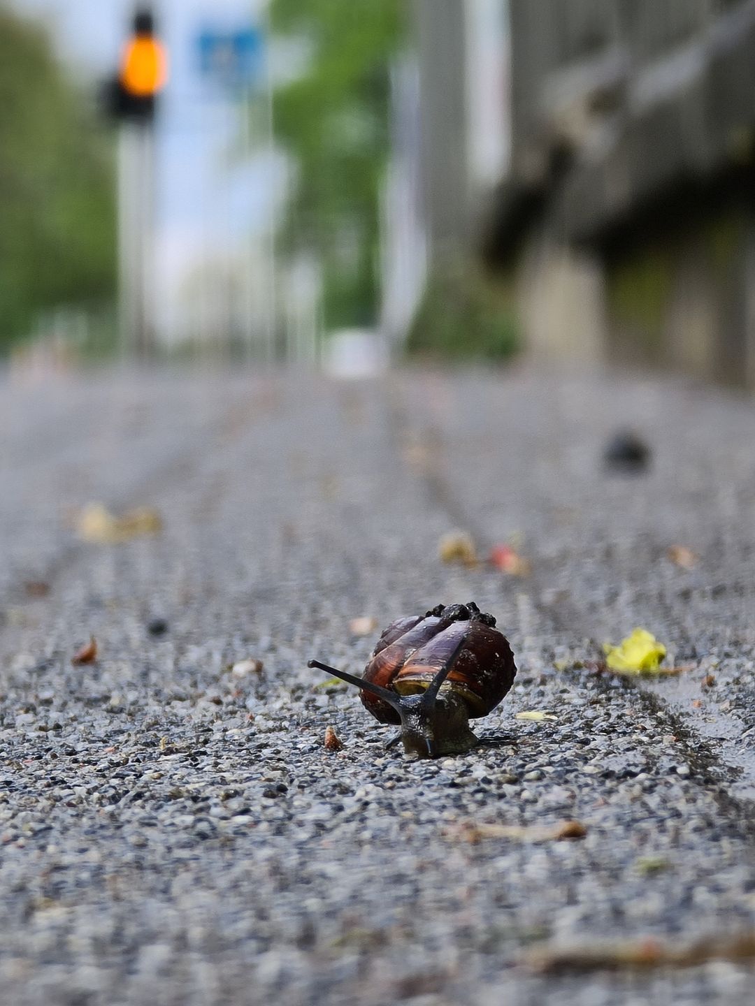 A jednak. Samsung Galaxy S20 Ultra to wciąż mój ulubiony smartfon fotograficzny 9