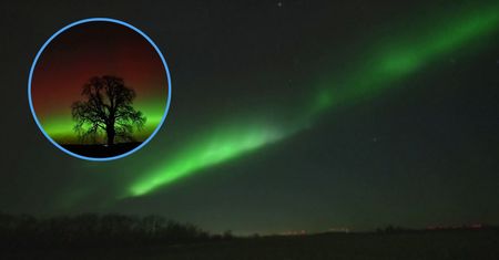 Widzieli je nawet z Alp. Niesamowite zjawisko nad Niemcami