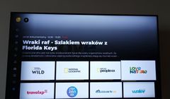 Cztery nowe kanały 4K w Polsat Box i Polsat Box Go