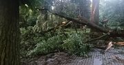 Skutki nawałnic w woj. śląskim. Aż 860 interwencji straży pożarnej. Połamane drzewa, pożar szkoły i brak prądu. Są też utrudnienia na kolei