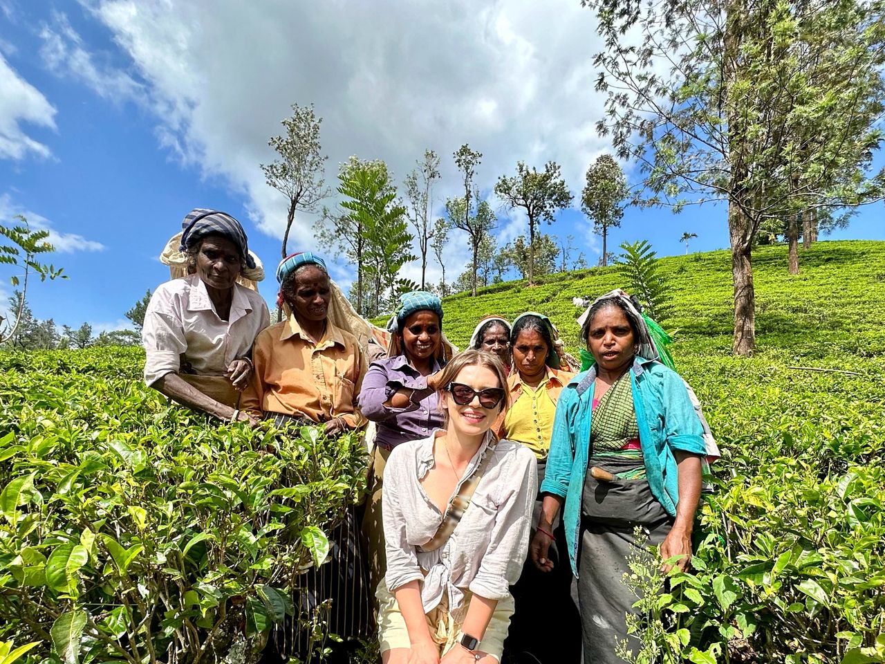 Plantacja herbaty Sri Lanka