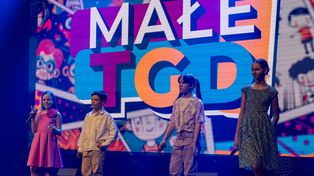 Sanok: Dni Freedom 2025. Koncerty, teatr i mnóstwo atrakcji dla rodzin
