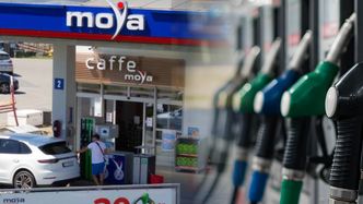 Nie tylko Orlen. Tak przyszłość cen paliw widzi inna duża sieć