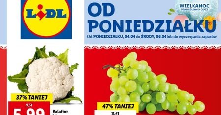 Lidl gazetka od 4.04. Promocje w Lidlu od poniedziałku 4 kwietnia