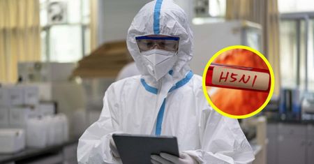 Dziecko w USA zakażone wirusem ptasiej grypy. Istnieje ryzyko epidemii wśród ludzi
