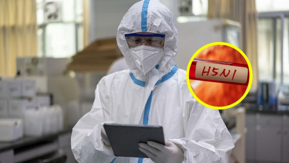 Potwierdzili zakażanie wirusem ptasiej grypy u dziecka z USA