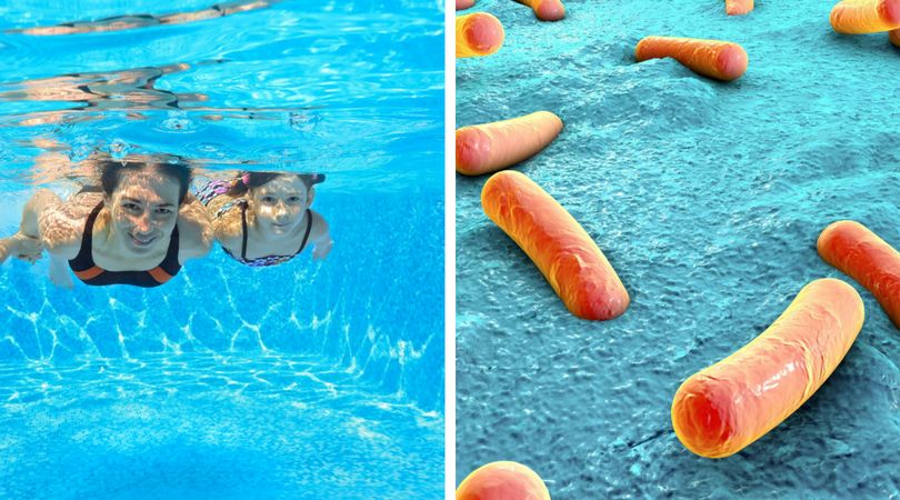 Trudną do wyleczenia bakterią możesz zarazić się, pijąc basenową wodę