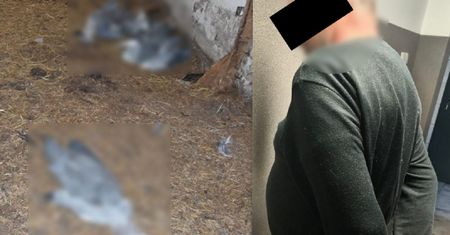 59-latek miał znęcać się nad psami. Wiemy, ile lat mu grozi