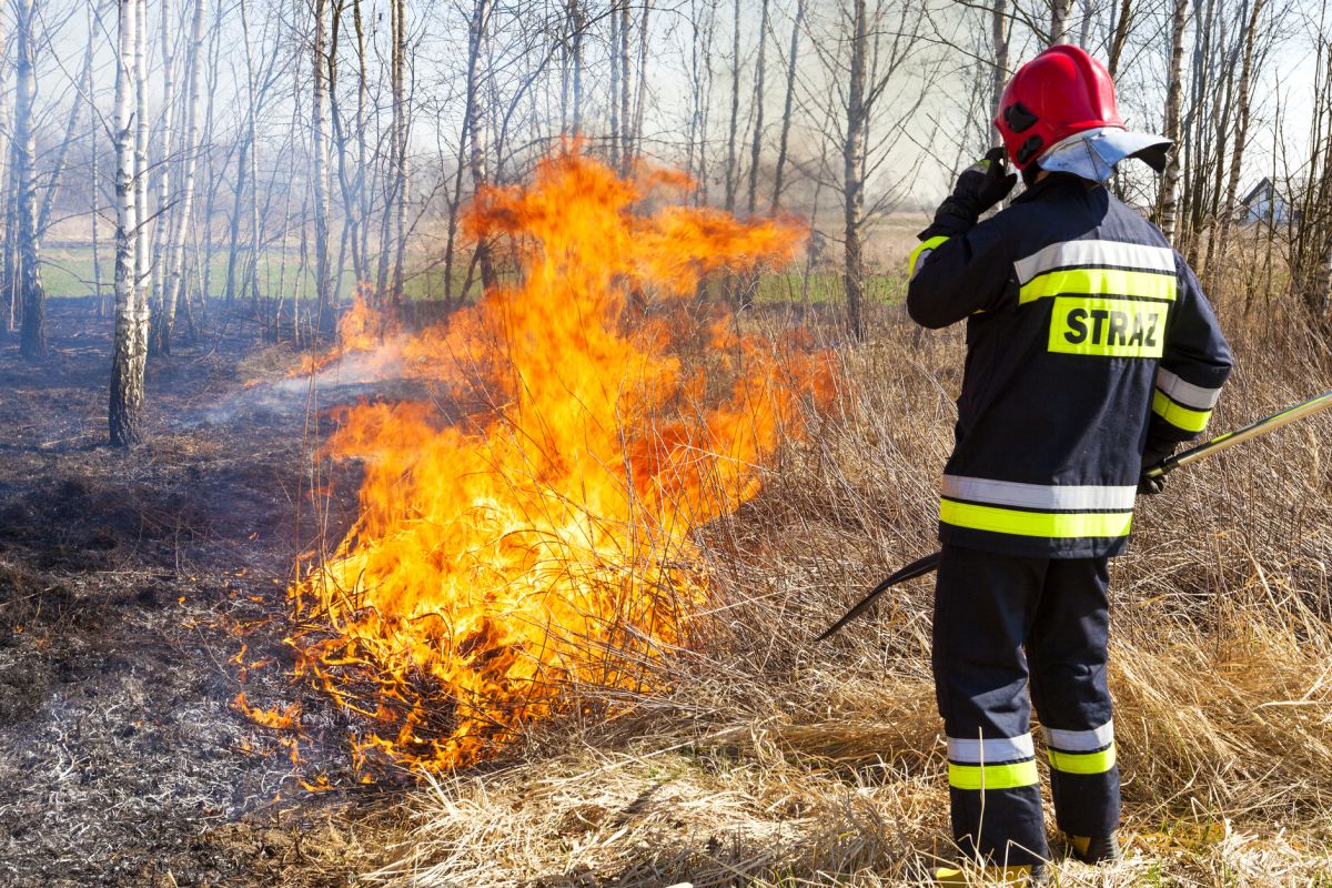 Ile zarabiają strażacy? Tak płacą w Państwowej Straży Pożarnej