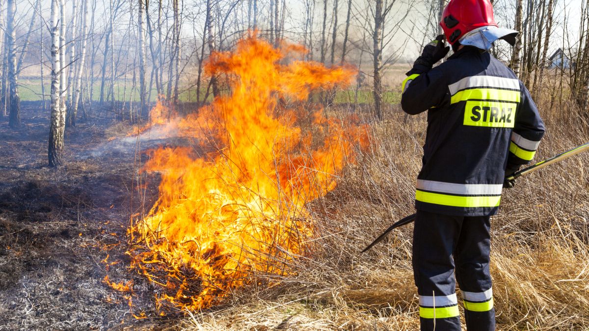Wynagrodzenie w Państwowej Straży Pożarnej. Czy jest adekwatne do obowiązków?