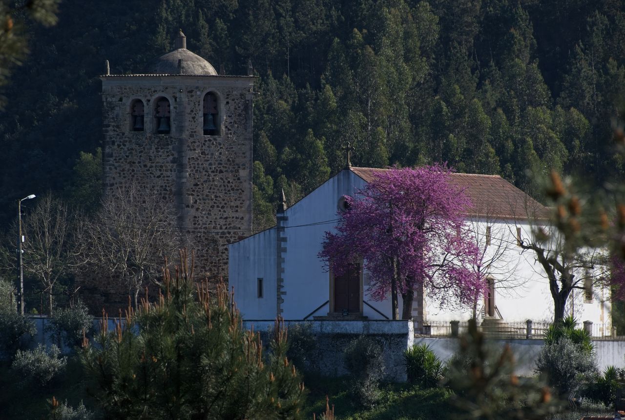 Tower in Dornes, Portugal.