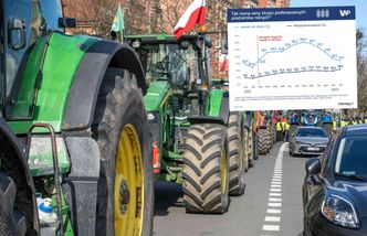 Oto dlaczego ukraińskie zboże to dla polskich rolników duży problem