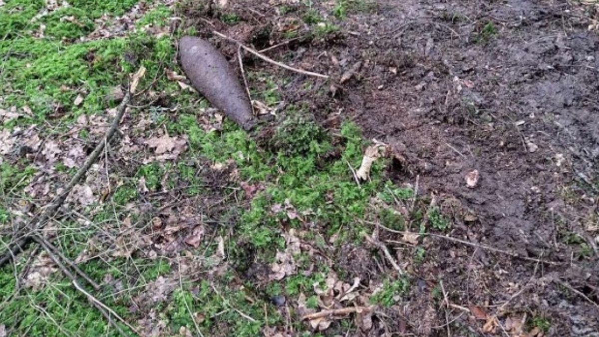 Leśnicy znaleźli to w lesie. Wojenna pamiątka. 