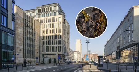 Koparki kryptowalut w NSA. Jedna zużywa tyle prądu, co małe mieszkanie