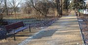 Poznań: Nowa zielona enklawa na Ratajach. Skwer między Wiatraczną a Krzywoustego gotowy