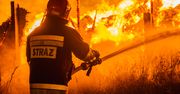 Kraków: Pożar garażu i drzew. Na pomoc wezwali straż pożarną
