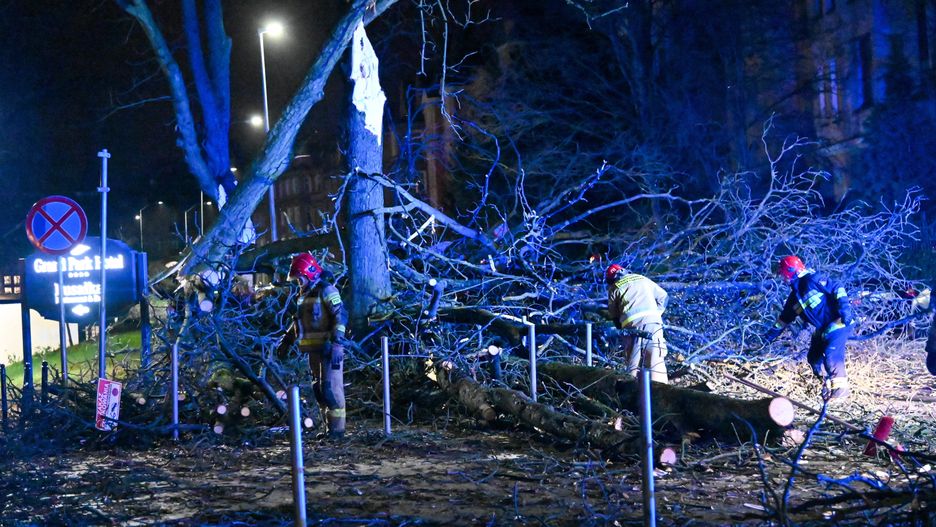 Szczecin, 22.12.2023. Usuwanie skutków wichury w Szczecinie, 22 bm. W związku z sytuacją pogodową zachodniopomorska Państwowa Straż Pożarna przyjęła ponad 400 zgłoszeń, najwięcej interwencji zanotowano w Gryfinie, Goleniowie, Stargardzie i Szczecinie. (mb/amb) PAP/Marcin Bielecki