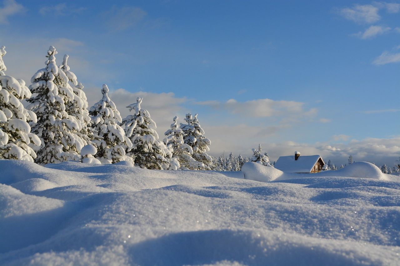 Pogoda. W najbliższy weekend spadnie śnieg