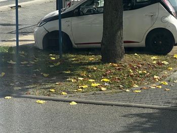 Kartuzy: Pijana 32-latka próbowała jechać autem bez opon. Odpadły po uderzeniu w krawężnik