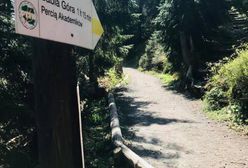 Beskidy. Załamanie pogody. Na szczęście tylko chwilowe