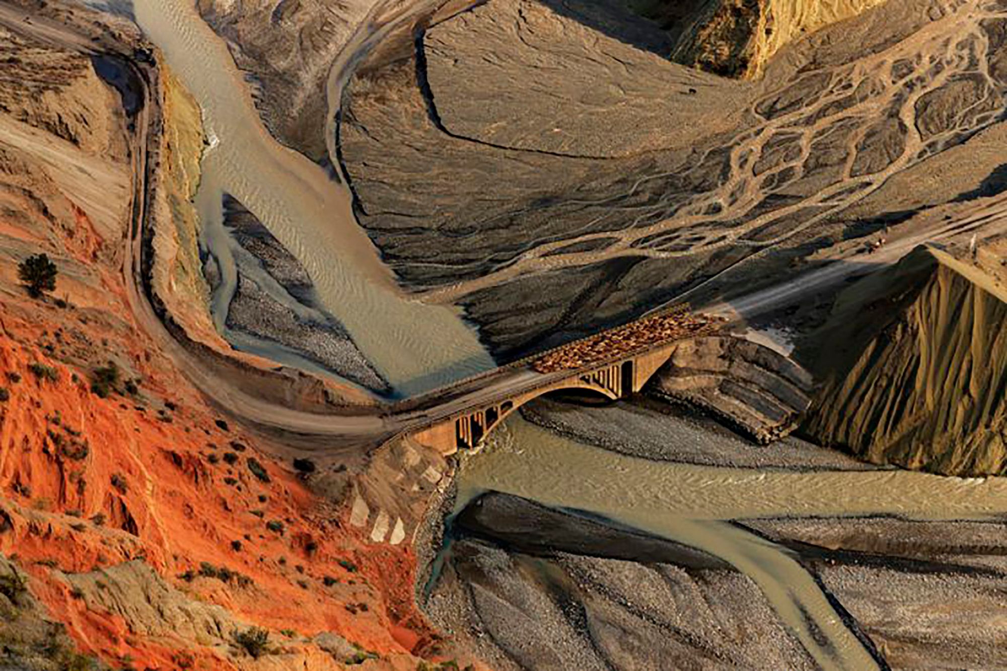 Wybrano najlepsze zdjęcia podróżnicze minionego roku. Oto zwycięzcy Travel Photographer of the Year 2019 9