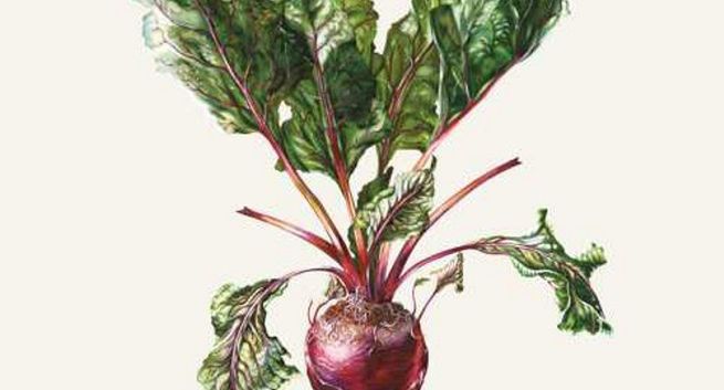 Czesław Śpiewa w klasycznym wydaniu