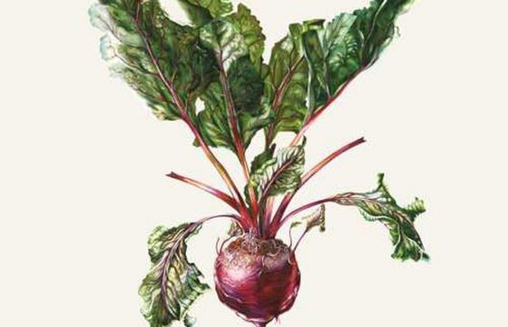 Czesław Śpiewa w klasycznym wydaniu