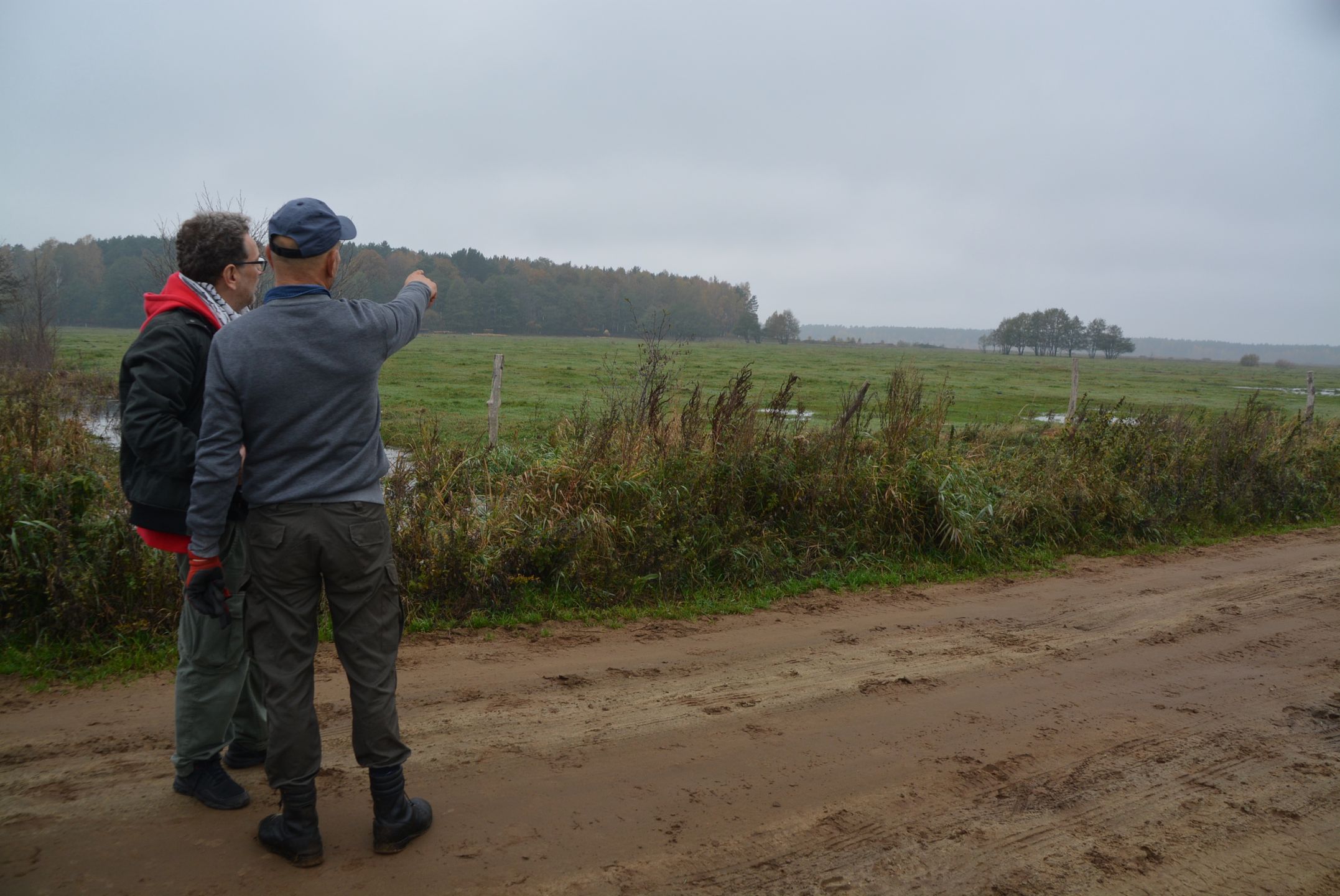 Druga linia to nadmorski las, gdzie stanąć ma elektrownia jądrowa.