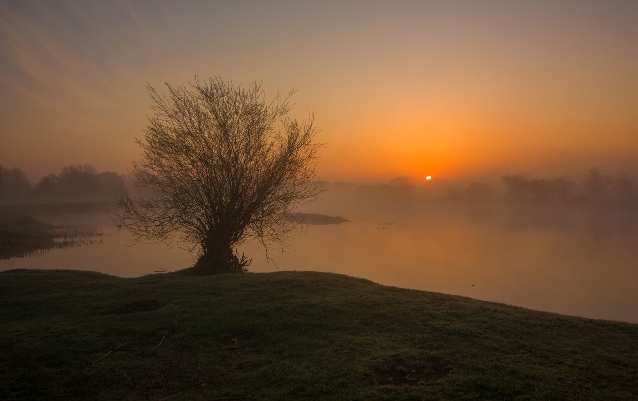 Do swojej pracy używa obecnie Canona EOS 7D Mark II. Do fotografii makro wykorzystuje obiektyw Tamron 90 mm f/2.8, często też sięga po stare szkło marki Helios.