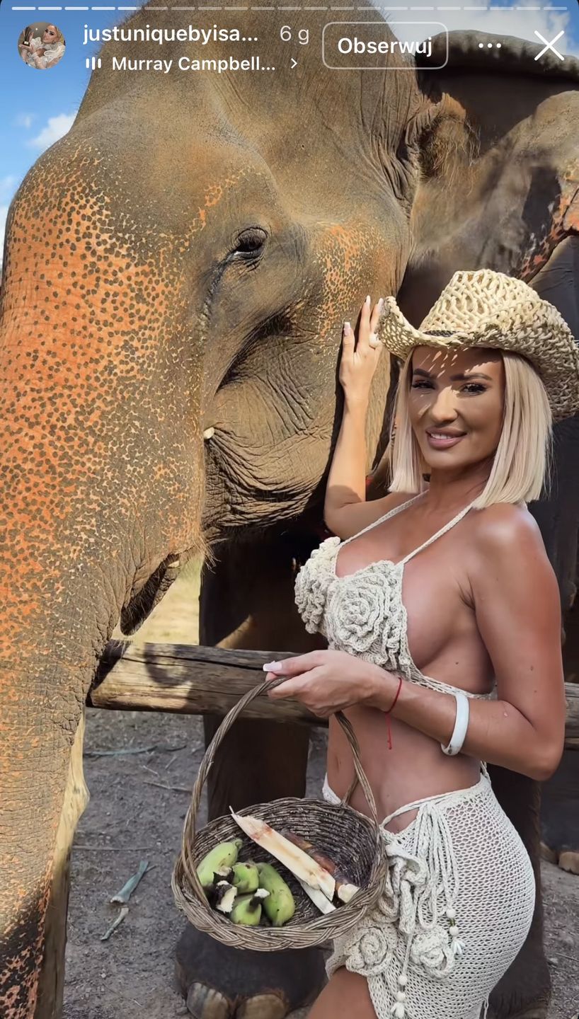 Izabela Macudzińska dokarmia słonie 