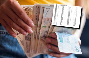 To był rok podwyżek pensji. Od upadku PRL-u tylko trzy razy wzrosty były większe [OPINIA]