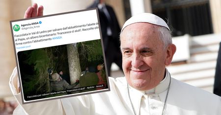 Awantura o choinkę dla papieża. Pierwszy taki protest w historii