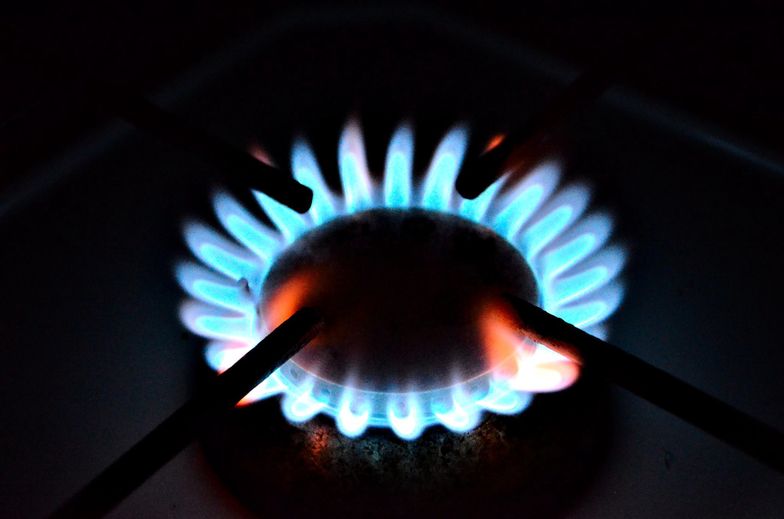 GUS: Zużycie gazu z sieci przez gospodarstwa domowe wzrosło o 2% r/r w 2019 r. 