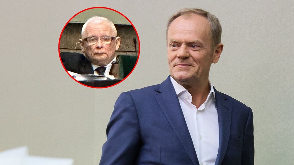 Donald Tusk sklejka 
