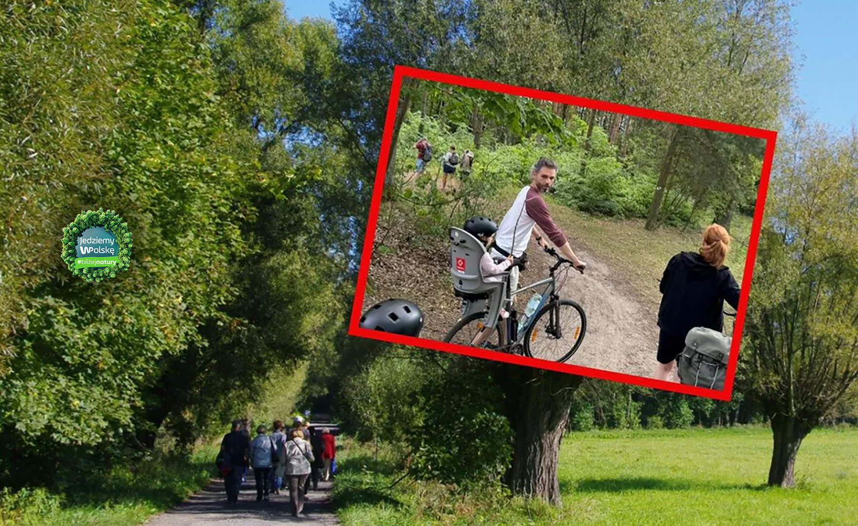 Puszcza Kampinoska to miejsce uczęszczane przez turystów.