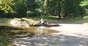 Sosnowiec: Czy fontanna w Parku Dietla odzyska blask?