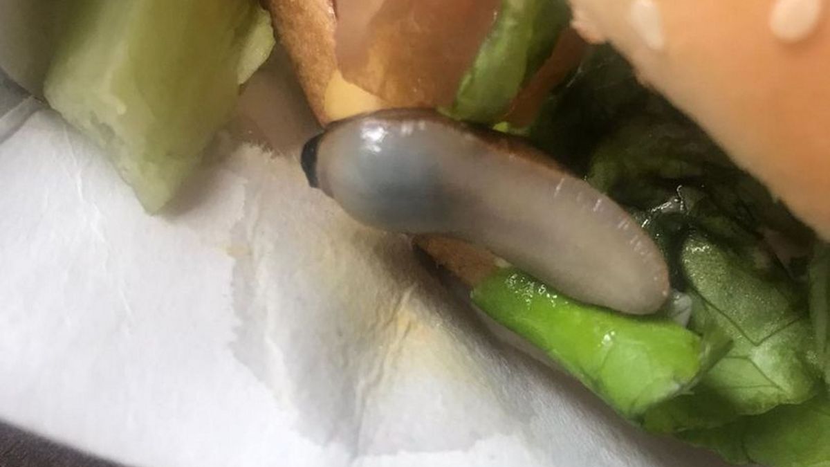 W burgerze z McDonald'sa znaleźli ślimaka