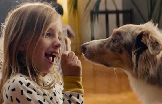 Psie „Love Story” w reklamie IKEA (wideo)