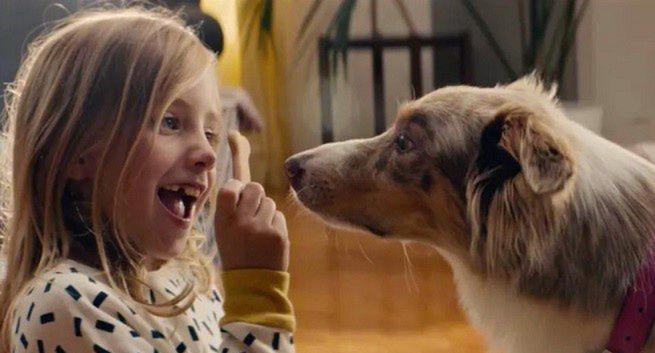 Psie „Love Story” w reklamie IKEA (wideo)